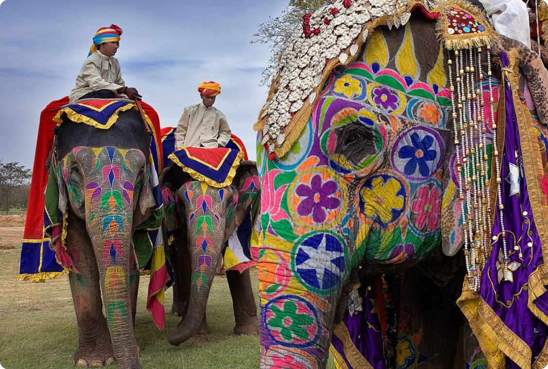 jaipur-elephant 2