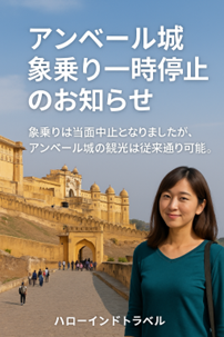 アンベール城の象乗りについて最新情報